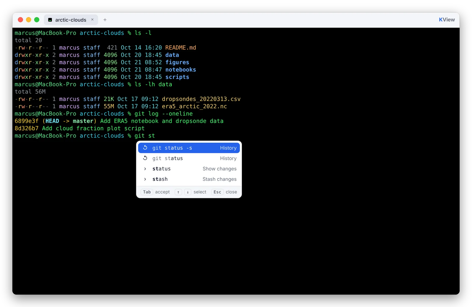 KView terminal with colored ls output and a suggestion list for git commands
